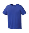 ATC Pro Team Short Sleeve Youth Tee - Y350 - True Royal - Ends Monday Overnight - Ready to ship Friday - Bright Swan