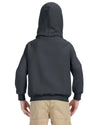 Bright Swan - Youth Hoodie - Gildan - G18500B - CHARCOAL - ENDS Monday night - Ready To Ship Friday