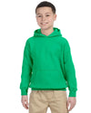 Bright Swan - Youth Hoodie - Gildan - G18500B - IRISH GREEN - ENDS Monday night - Ready To Ship Friday