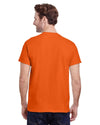 Bright Swan - Gildan tshirt - G2000 - ORANGE - ends Monday overnight - ready to ship Friday