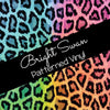 Bright Swan - Patterned Vinyl & HTV - Leopard Rainbow