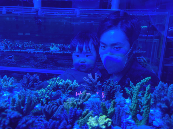 My second son and I at a coral shop