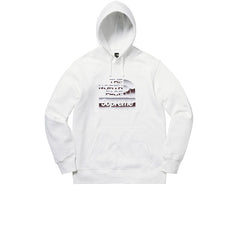 SUPREME THE NORTH FACE METALLIC LOGO HOODED SWEATSHIRT 