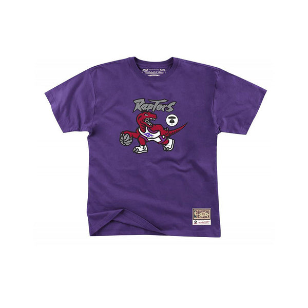 purple raptors tee