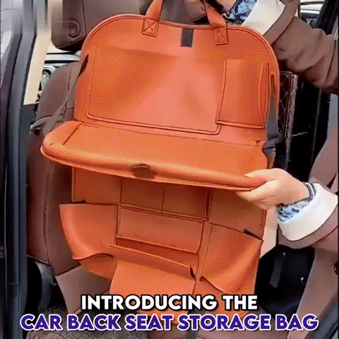 Aldi Australia set to release a car backseat organiser with space