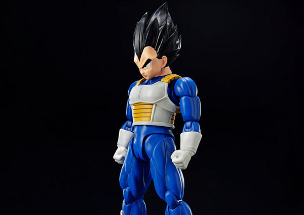  Bandai Hobby Figure-Rise Standard Android #17 Dragon Ball  Model Kit : Toys & Games