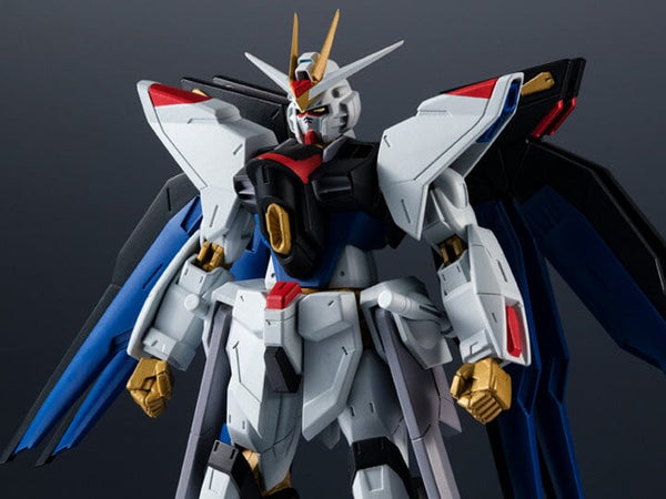 GUNPRIMER - Raser Plus – Gundam Shoppers Network