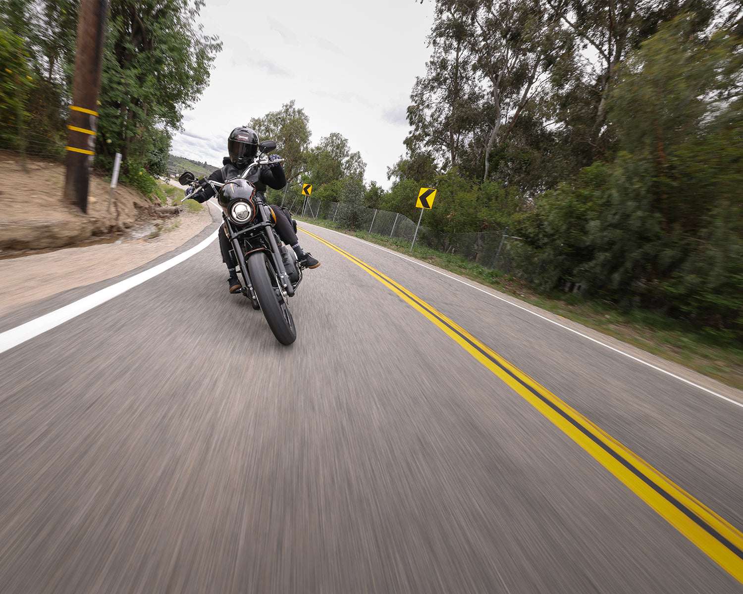 Turning a $6500 Harley Sport Glide into a Performance Softail Build (How You Can Too!) - Vlog 191
