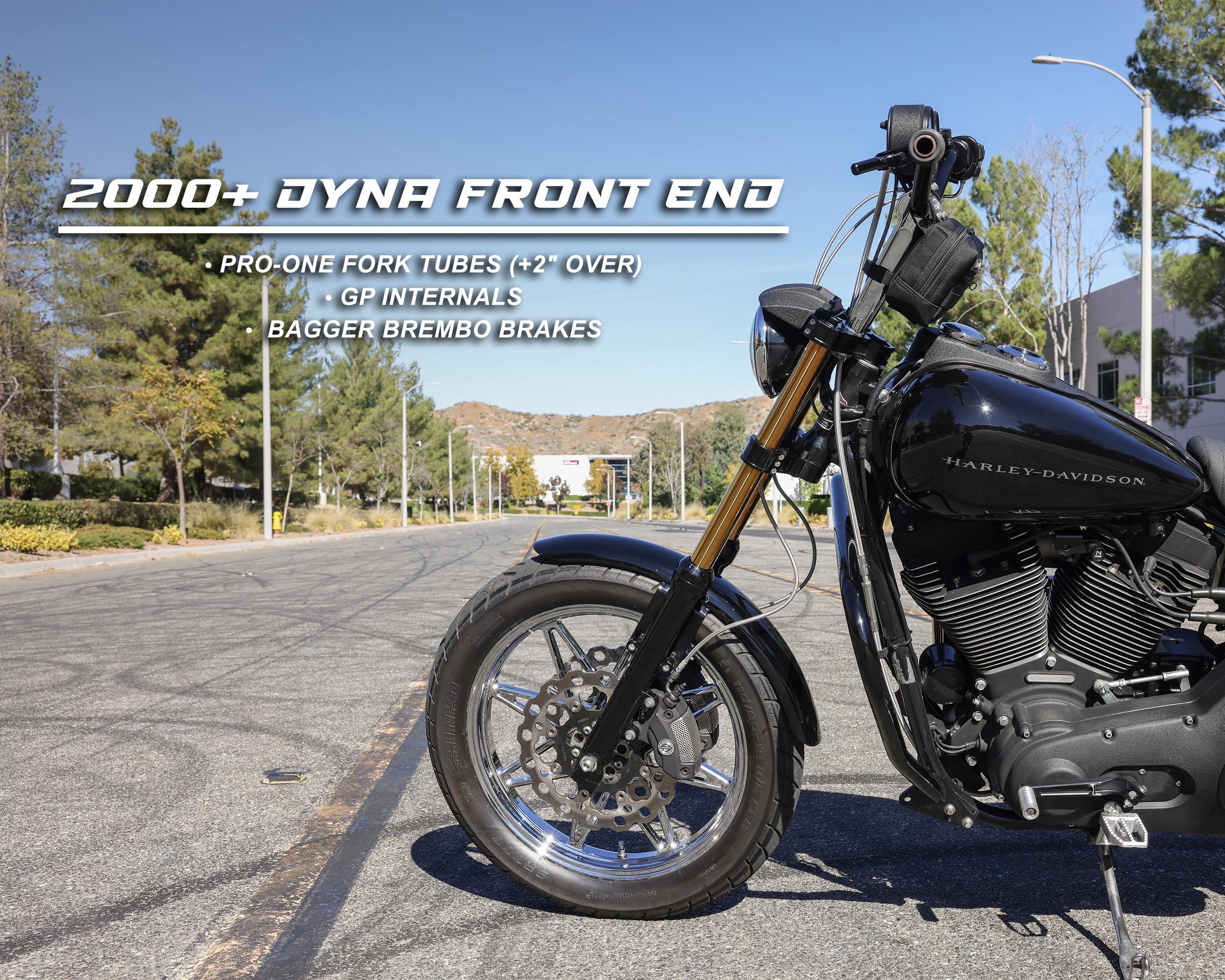 DYNA NATE BIKE CHECK FXDX