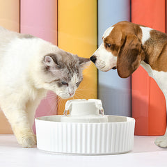 Cupcake Pet Water Fountain