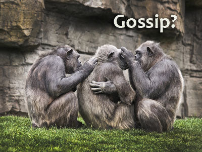 Body language Gossip