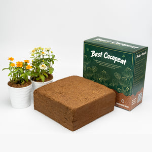 Best Coco Peat | 11.5 Lbs (5Kg) - BestCocopeat