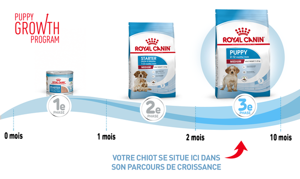 royal canin