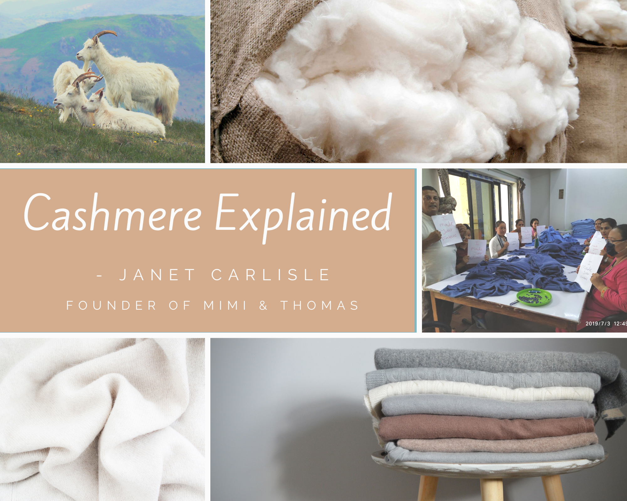 Cashmere Explained by Janet Carlisle