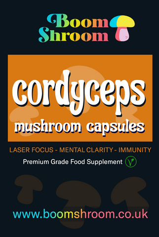 BoomShroom Cordyceps mushroom capsules