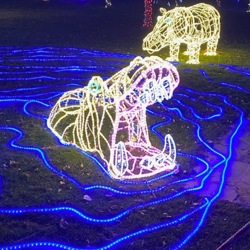 Hippopotamus light display at Botanic Gardens