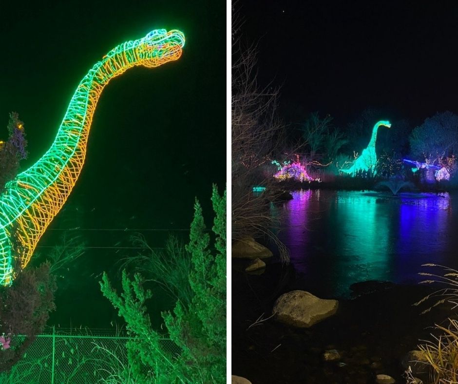 River of Lights display at the Botanic Gardens in Albuquerque
