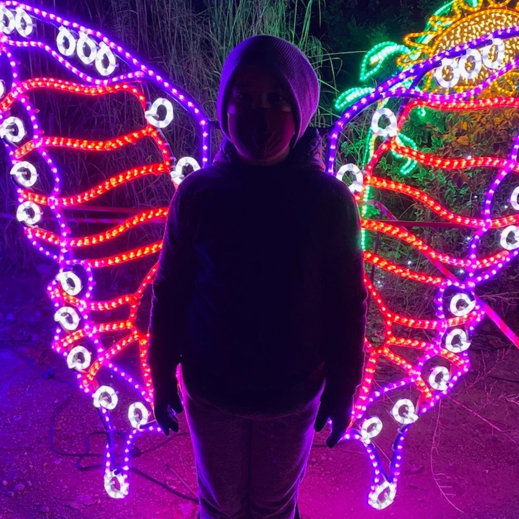 My grandson with the butterfly light display