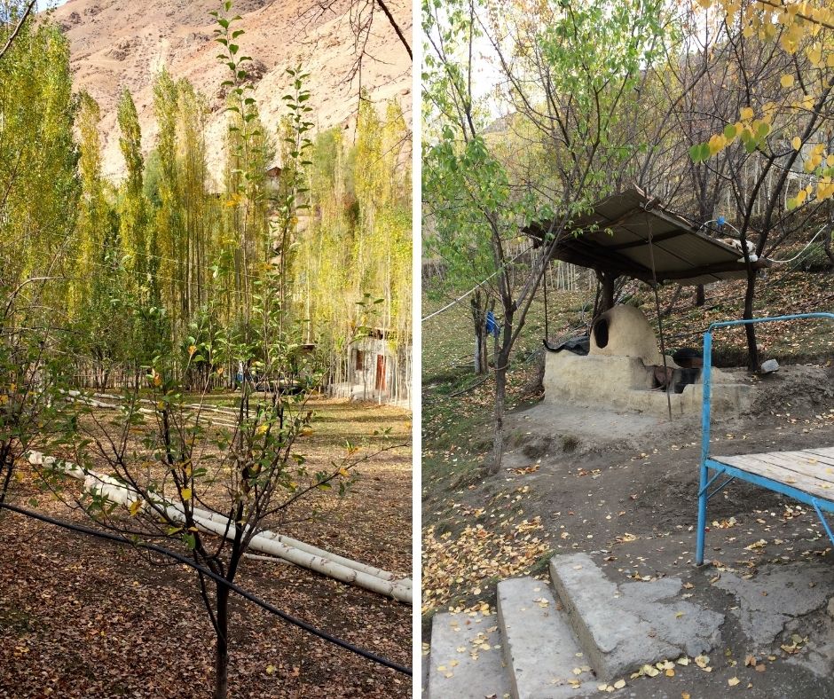 Fann Mountains-Nofin Homestay, Seven Lakes Region of Fann Mountains, Tajikistan (Trees and Traditional Outdoor Oven)