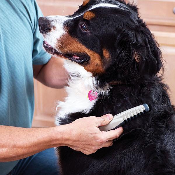 Knot Out Electric Pet Grooming Comb