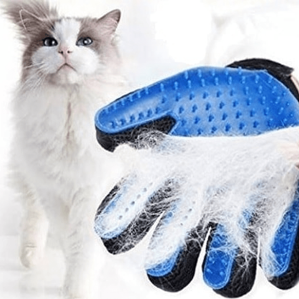 pet fur glove