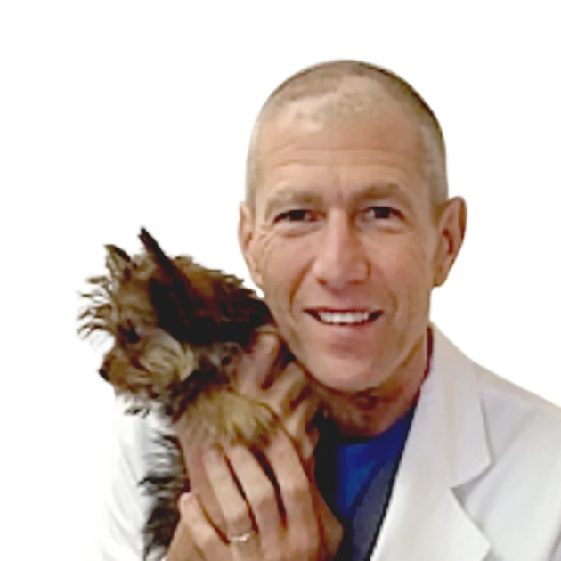 About Oncotect Oncotect Cancer Screening Test for Dogs Oncotect