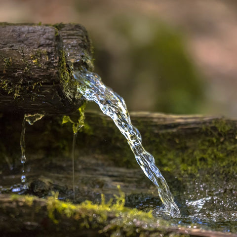 agua hooponopono