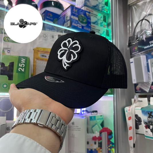 Gorra Negra PANTERA ROSA Bordada 3D BLAKKAPS®♣️ – DELED Electronica y  Accesorios