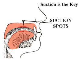 Suction hold technique diagram in mewing, highlighting key suction spots.