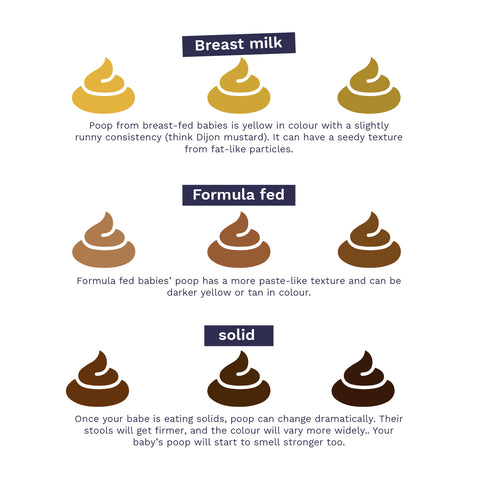 Chart showing baby poo colours