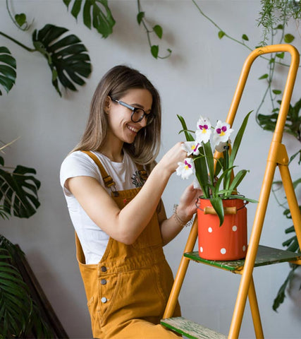 Considérer Ses Passions - Cadeau Femme Inoubliable