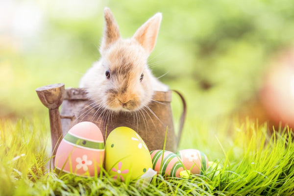 le weekend de pâques