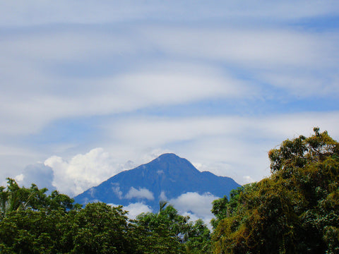 Volcan_Tacana_cafe de especialidad mexico