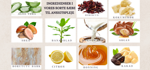 ingredienser-ansigtspleje-sorte-sæber-Naturelledk.png__PID:e3b35f2a-cc21-4b15-b747-efef2faafc5b