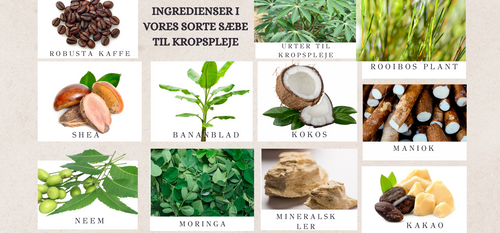 ingredienser-til sorte-sæber-til-kropspleje-naturelledk-økologiske-veganske.png__PID:8c002722-42eb-4cf9-9967-884831910e20