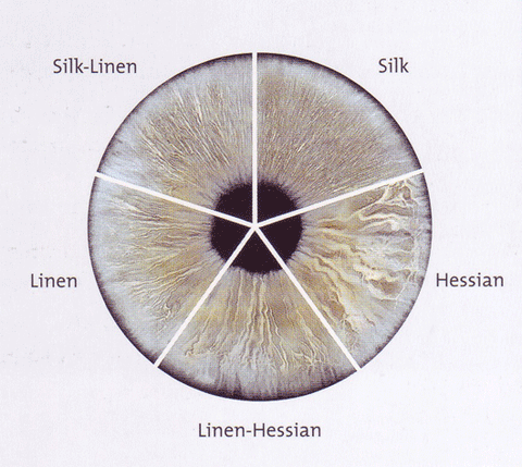 Iris Structure