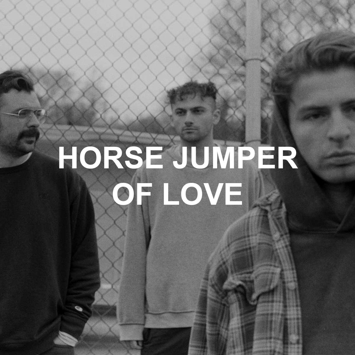 horse jumper of love products