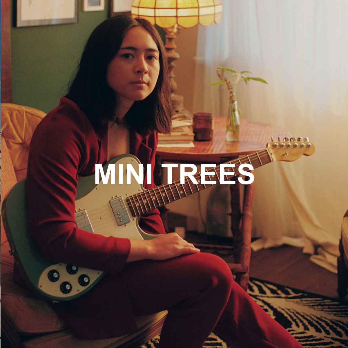 mini trees image