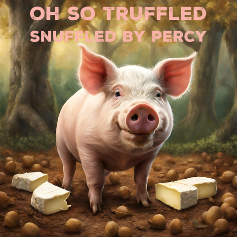 Percy the truffle hunting pig