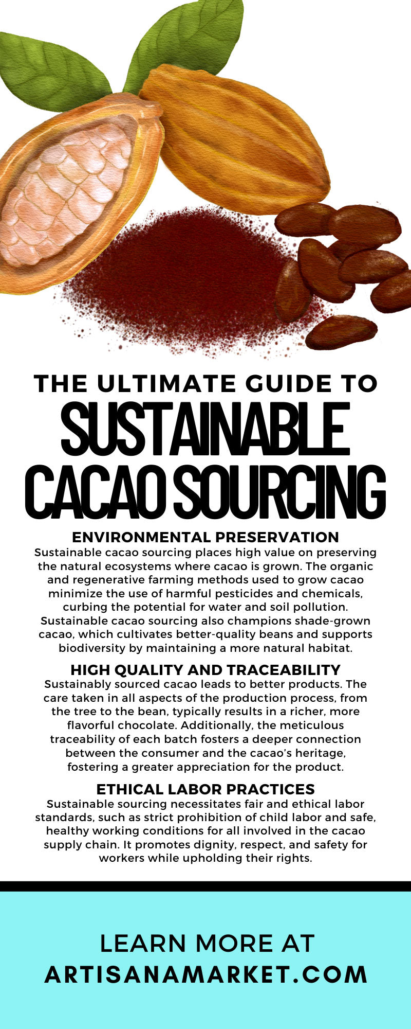 The Ultimate Guide To Sustainable Cacao Sourcing