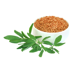 Best shampoo with fenugreek