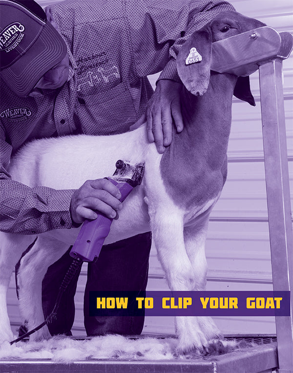 Goat Clipping Knowledge