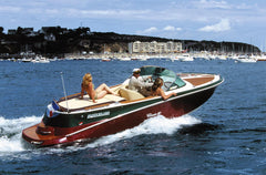 Quicksilver Classic 20