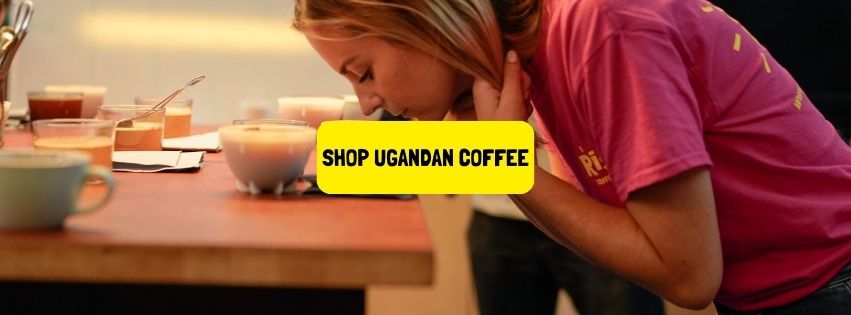 rise ugandan coffee