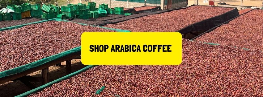 BUY ARABICA COFFEE ONLINE
