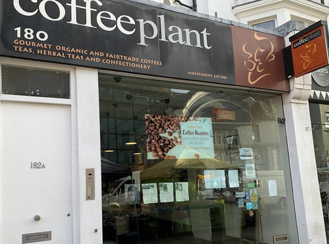 coffee plant notting hill