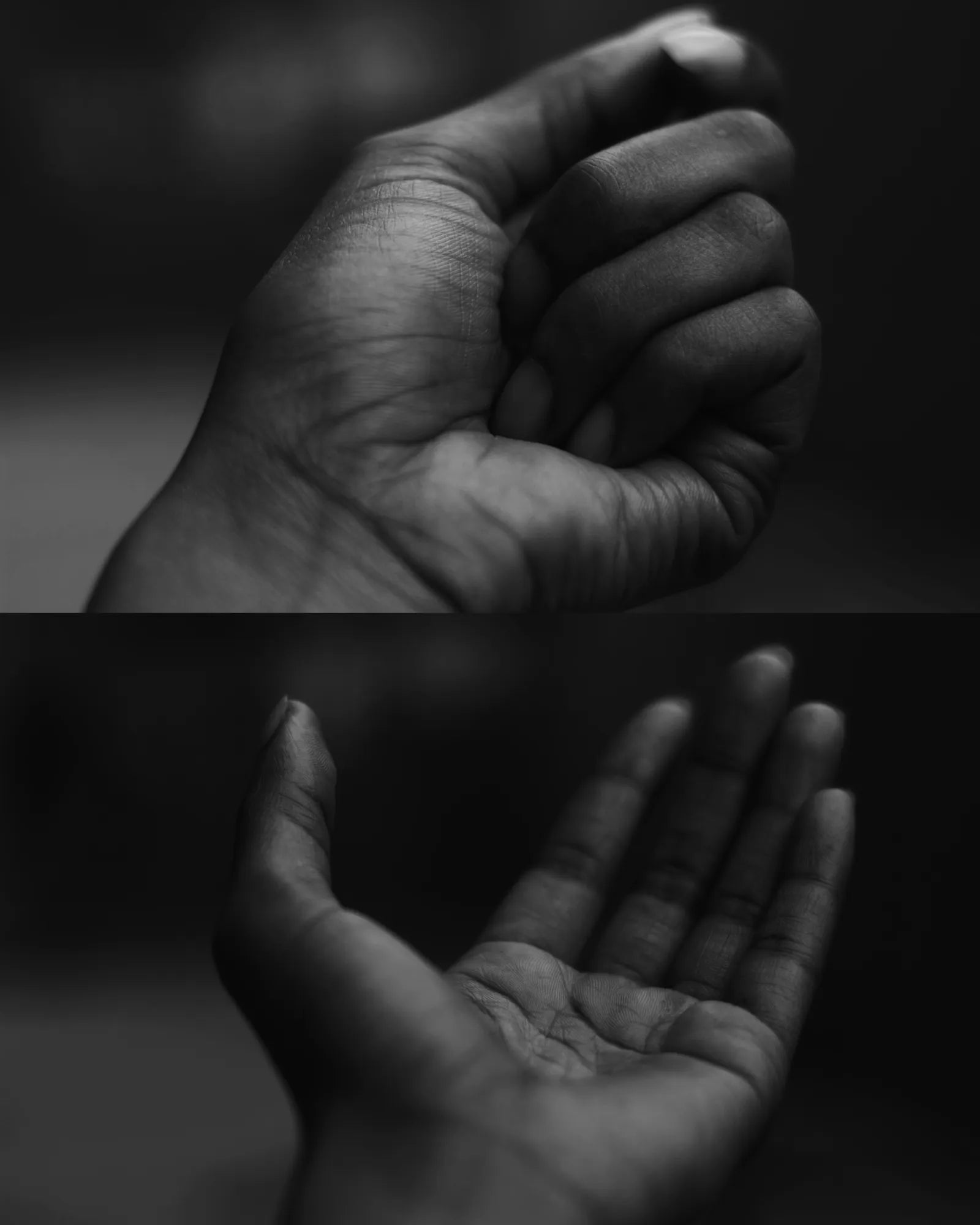 Hold on, Let Go