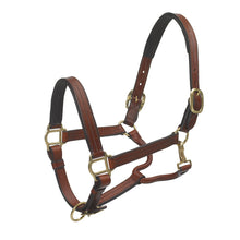 Elite Fancy Stitch Raised Padded Halter – Ovation Riding