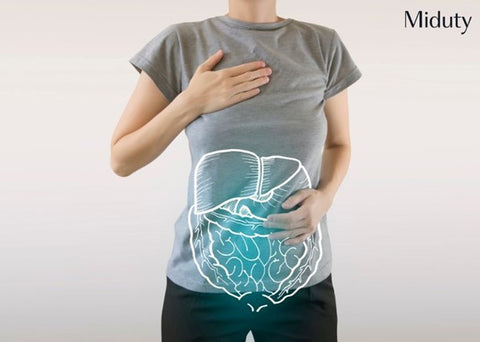 The Role of Bile in Digestion