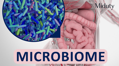 Maintain a healthy gut microbiome